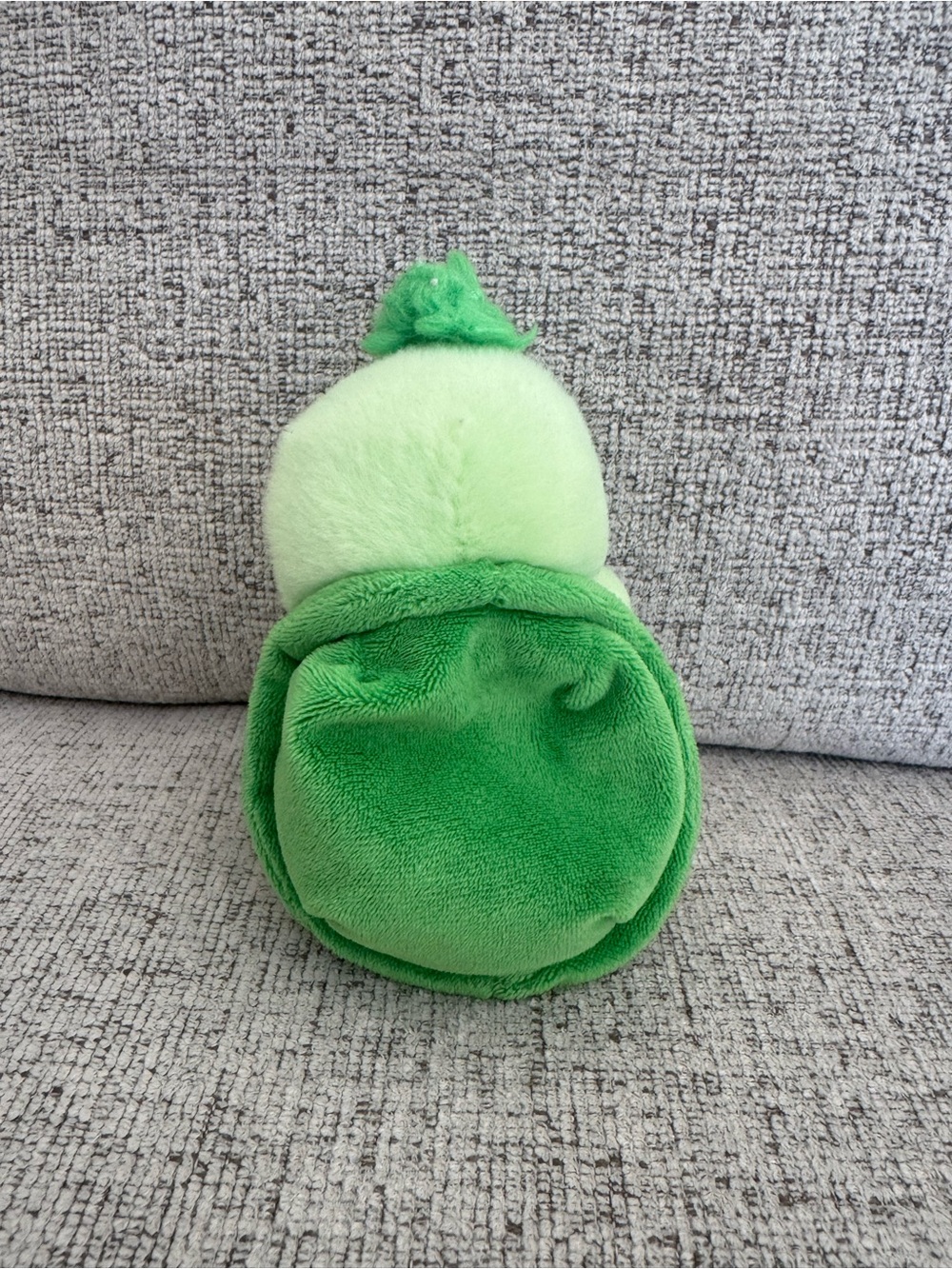 Aurora - Palm Pals - 5" Tiny Turtle - Picture 2 of 4
